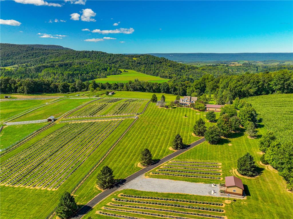 63 Long Road Lenhartsville, PA 19534 - Photo 7 of 100 Rolling green pastures and cultivated fields surround this expansive country estate nestled against mountain backdrops.