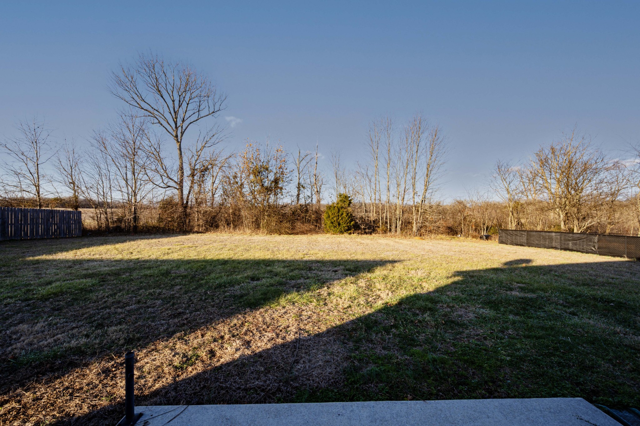 3039 Ridgewood Drive Christiana, TN 37037 - Photo 3 of 20 a view of yard with green space