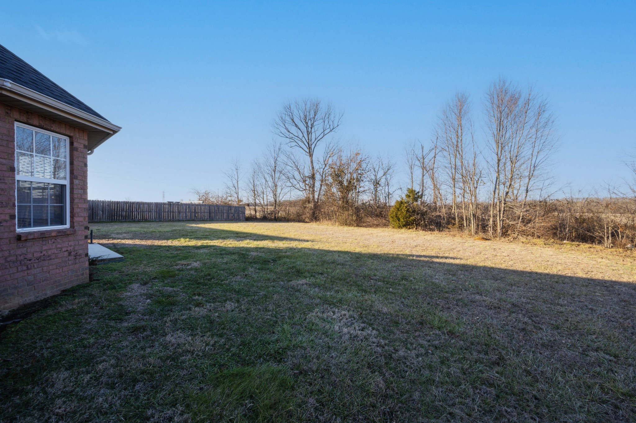 3039 Ridgewood Drive Christiana, TN 37037 - Photo 4 of 20 a view of yard
