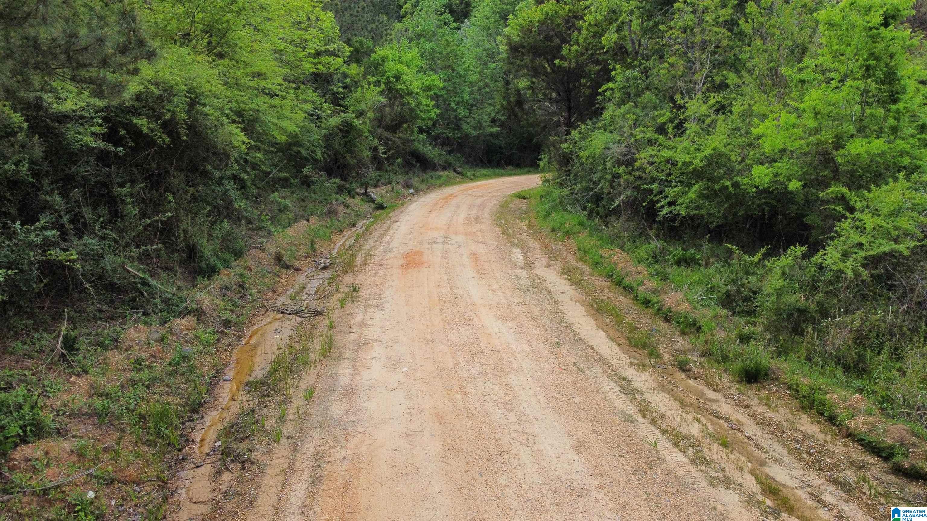 0 County Road 44 Linden, AL 36748 - Photo 20 of 48