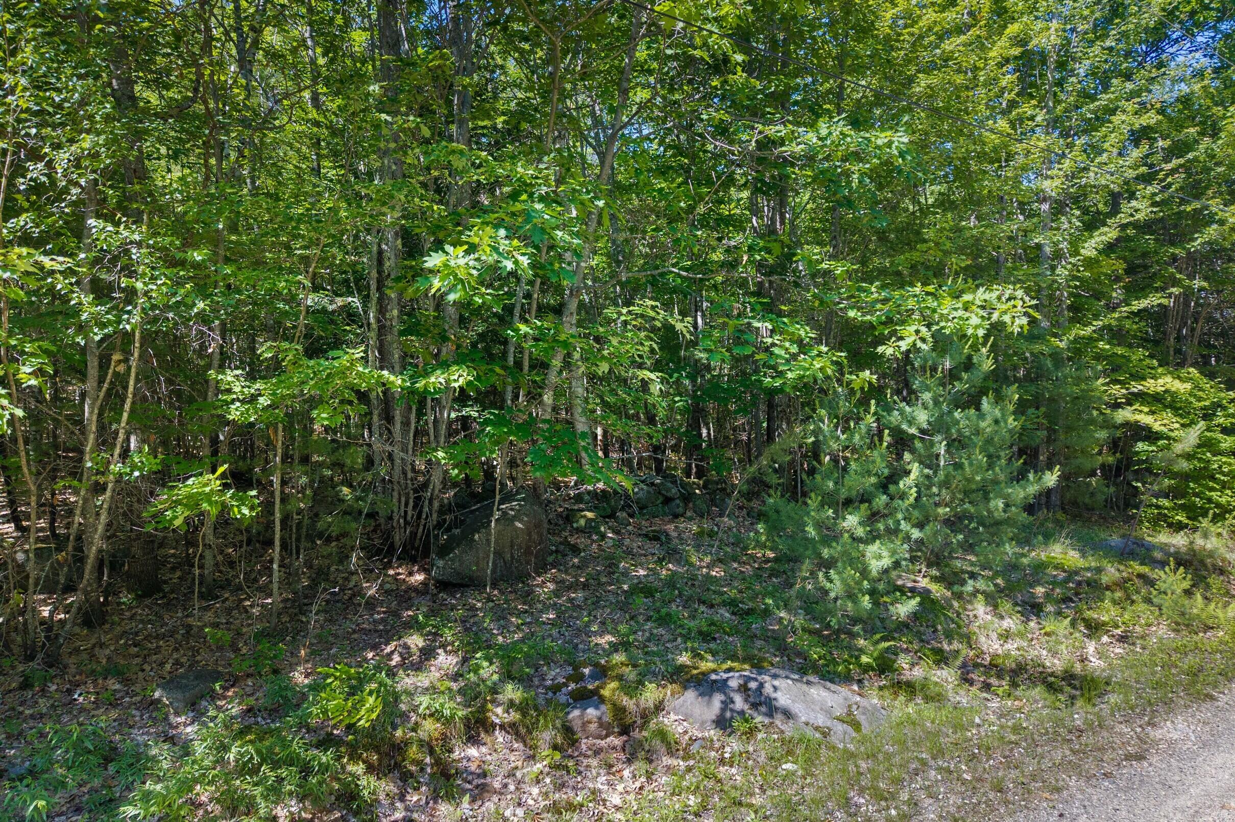 0 Hiram Hill Road Hiram, ME 04041 - Photo 4 of 13 11-Lot-9-073A-Hiram-Hill-Rd-11