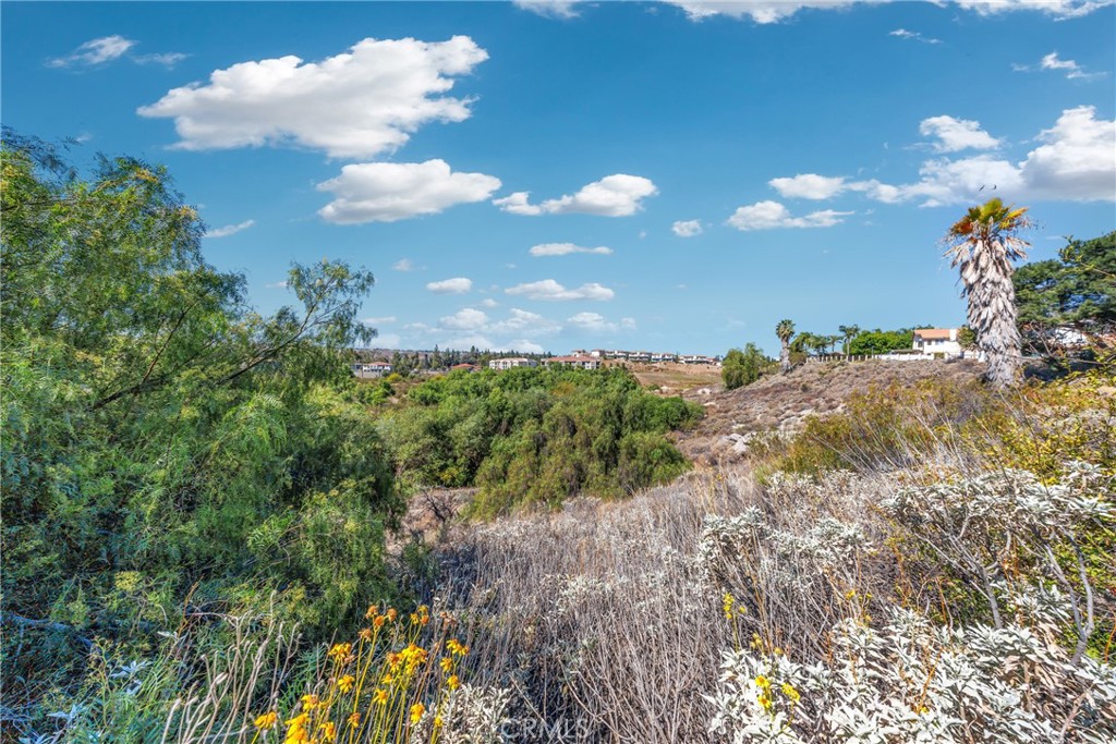 550 Bruin Drive Riverside, CA 92507 - Photo 57 of 74
