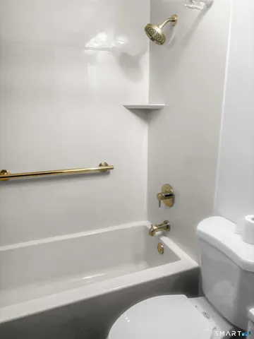 a bathroom with a toilet and a bathtub