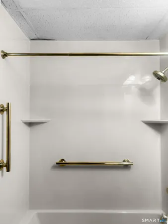 a bathroom with a toilet and a bathtub