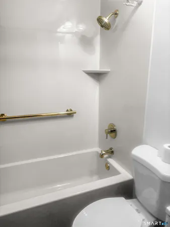 a bathroom with a toilet and a bathtub