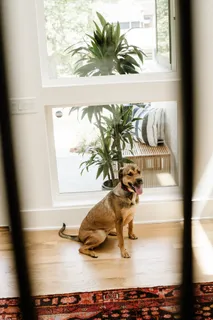 $2,525,500 | 3911 Albert Drive, Nashville, TN 37204