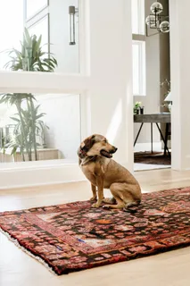 $2,525,500 | 3911 Albert Drive, Nashville, TN 37204