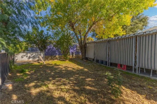 a view of a backyard with a tree