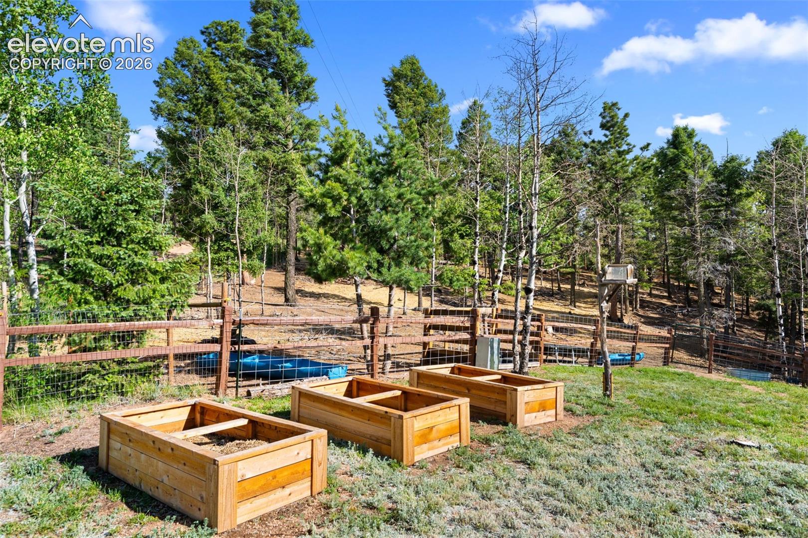 4269 County Road 51 Road Divide, CO 80814 - Photo 26 of 39 Front yard with raised beds