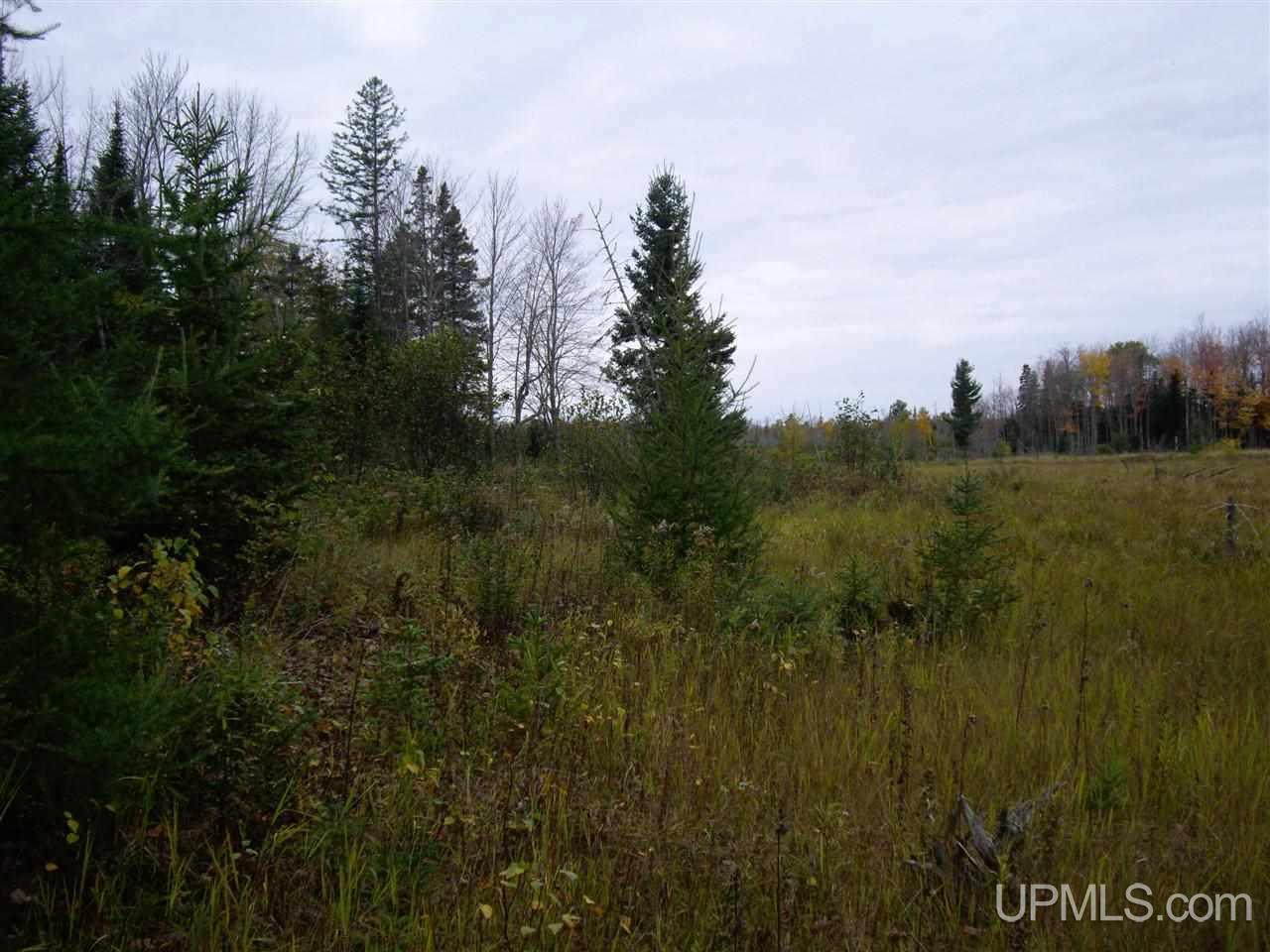 Tbd Pillow Road Trenary, MI 49891 - Photo 7 of 9 Gallery Image 7