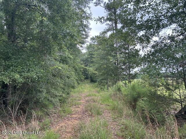 301 Freeman Road Southwest Summit, MS 39666 - Photo 6 of 43 IMG_4586