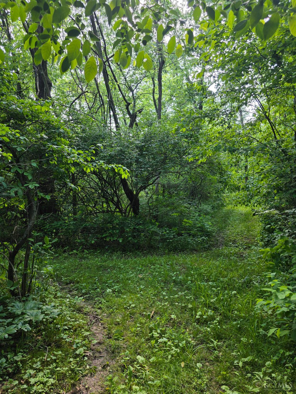0 Fagins Run Road New Richmond, OH 45157 - Photo 14 of 28