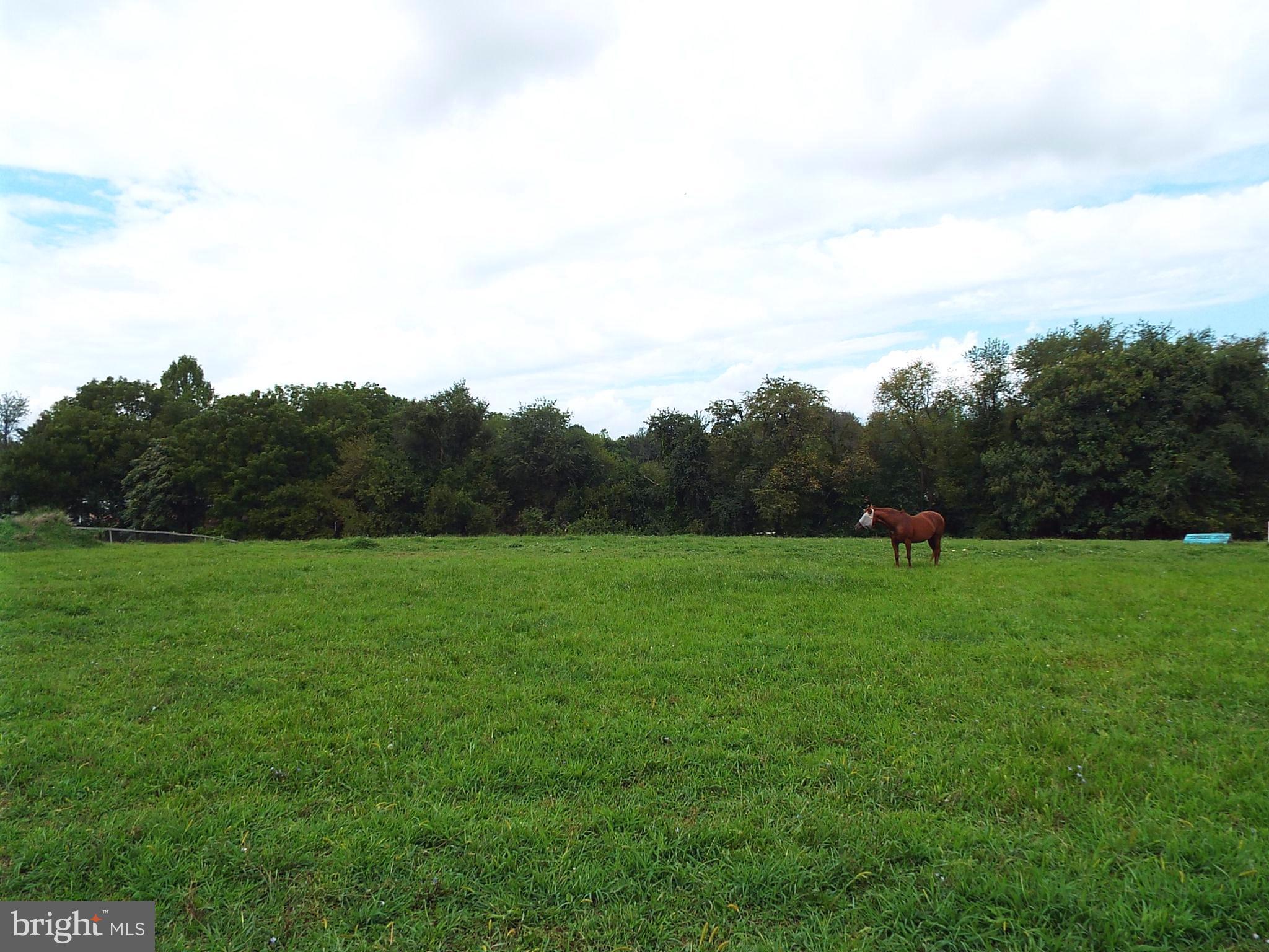 Oak Hill Road Spencerville, MD 20868 - Photo 22 of 25 Pasture