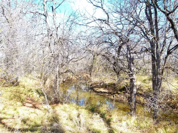a backyard of a house with large trees