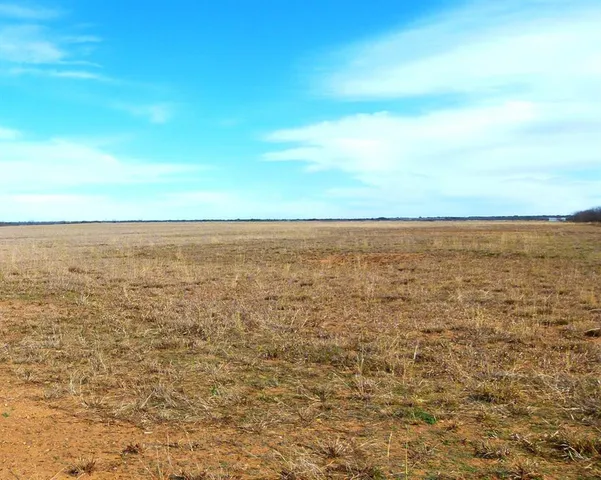 a view of a yard with large trees