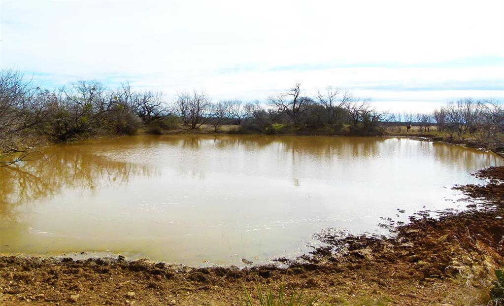 6500 Farm To Market 586 Bangs, TX 76823 - Photo 31 of 40 a view of a lake with houses