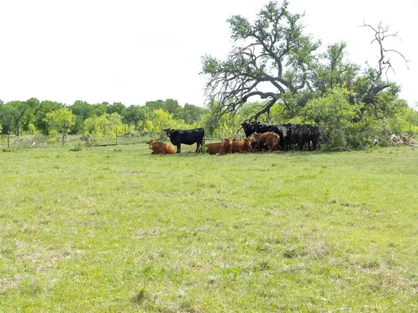 $2,400,000 | 6500 Farm To Market 586, Bangs, TX 76823