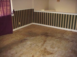8122 Pine Ridge Road Ooltewah, TN 37363 - Photo 4 of 6 Additional Photo