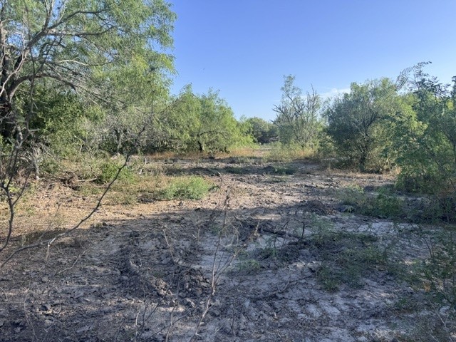 5929 Sweet Water Road Robstown, TX 78380 - Photo 8 of 18 Gallery Image 8