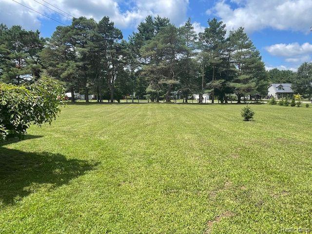 7715 Bell Road Birch Run, MI 48415 - Photo 9 of 50