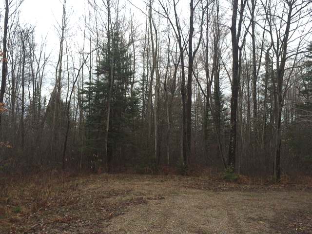 Lot 3-on Pfeifer Road Tomahawk, WI 54487 - Photo 2 of 7 Gallery Image 2