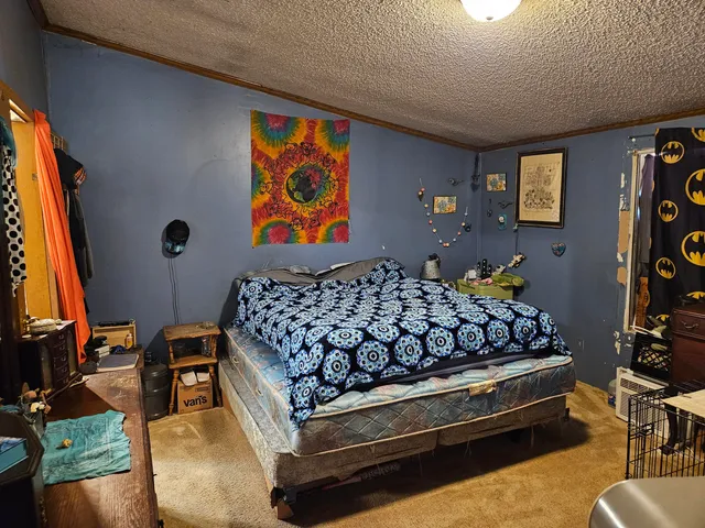 $150,000 | 9156 50th Avenue, Evart, MI 49631