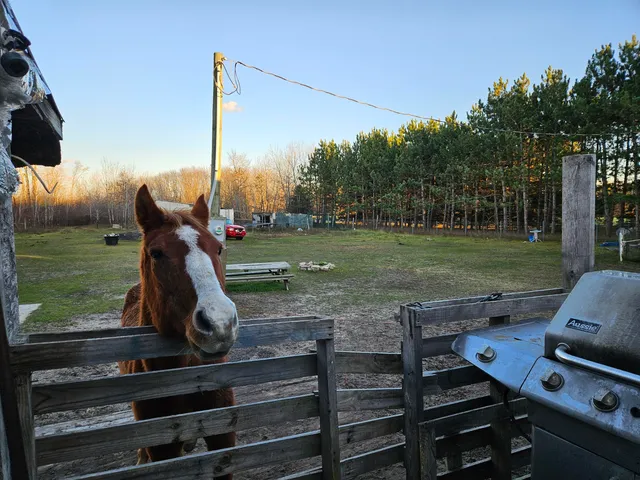 $150,000 | 9156 50th Avenue, Evart, MI 49631