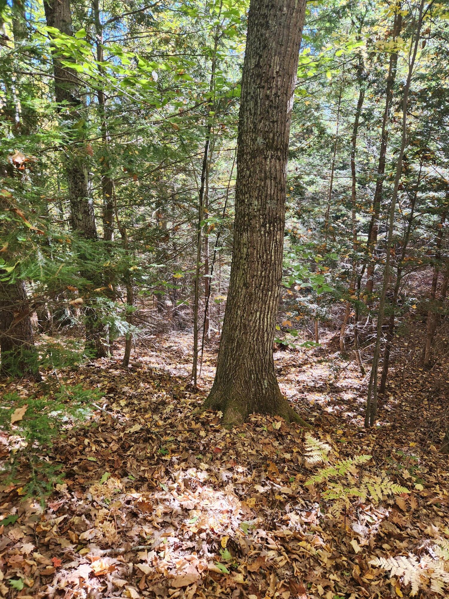 14 D Thomas Hill Road Norway, ME 04268 - Photo 1 of 32 20251002_103152