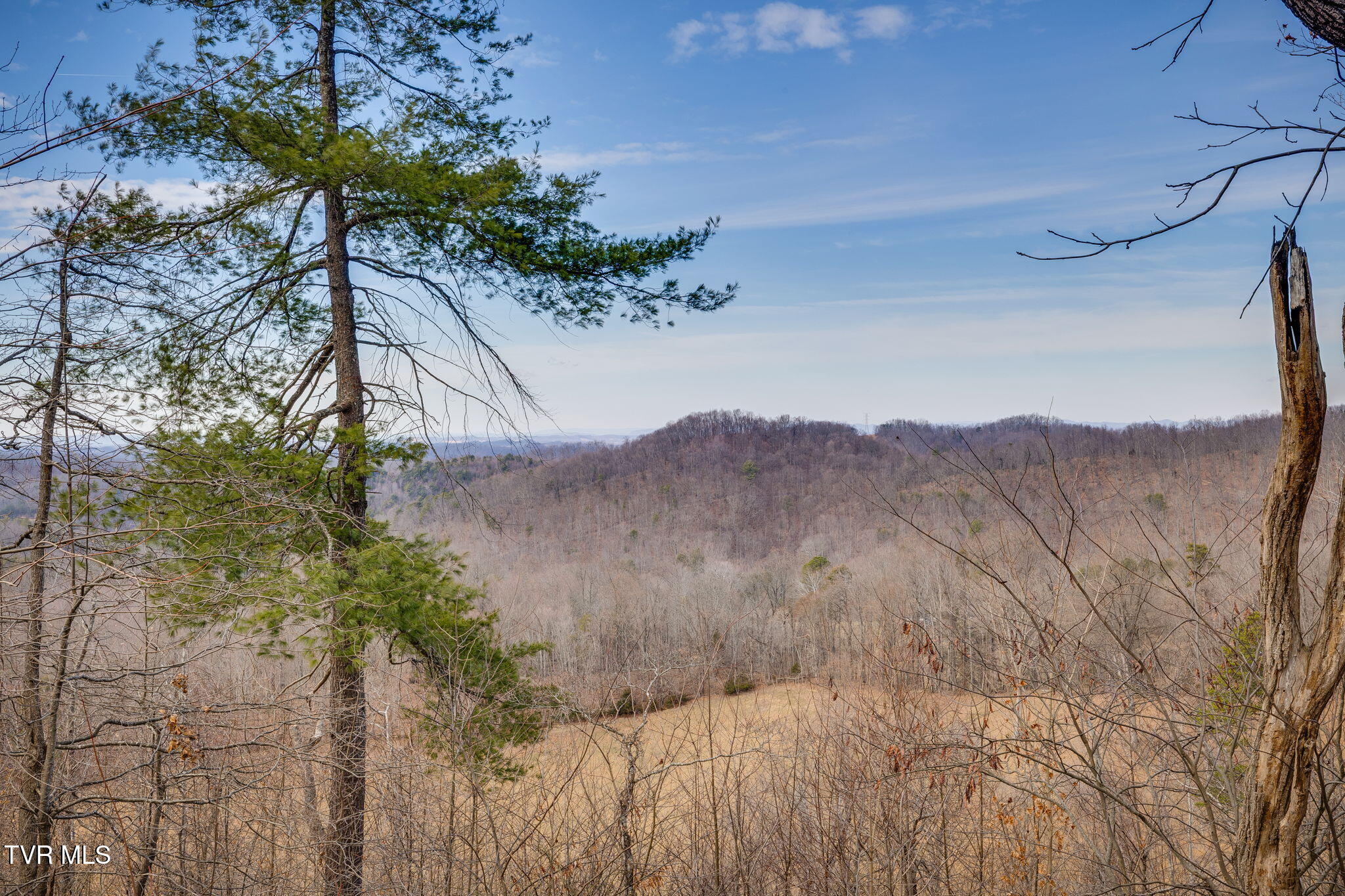 309 Holston Mountain Road, Unit 3 Elizabethton, TN 37643 - Photo 3 of 29 022