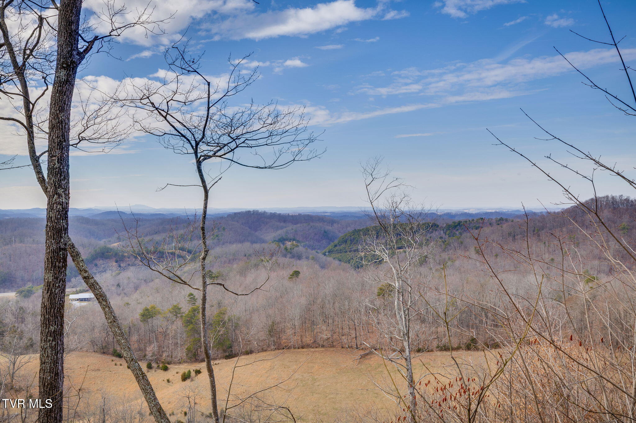 309 Holston Mountain Road, Unit 3 Elizabethton, TN 37643 - Photo 4 of 29 024