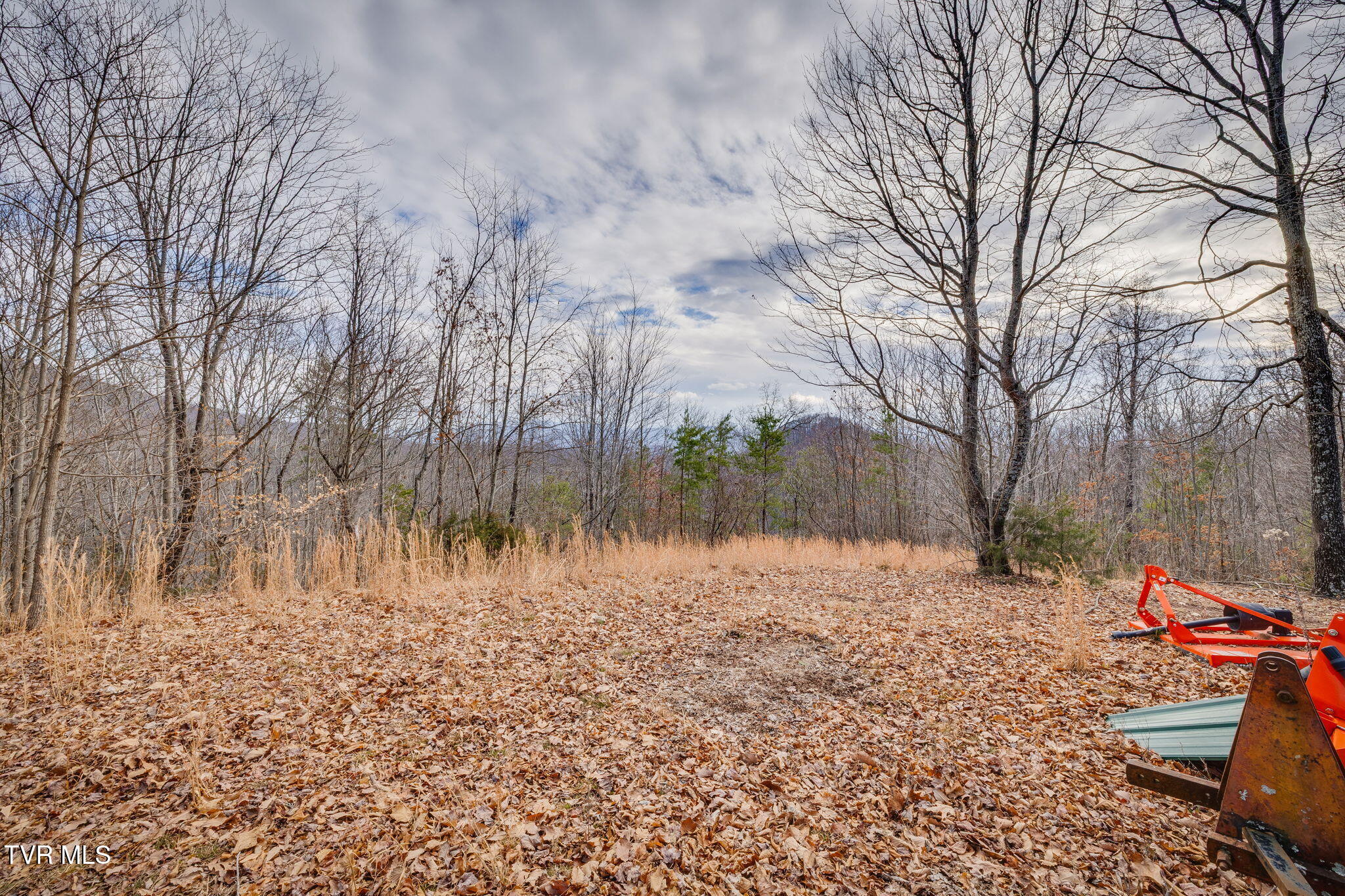 309 Holston Mountain Road, Unit 3 Elizabethton, TN 37643 - Photo 6 of 29 027-2