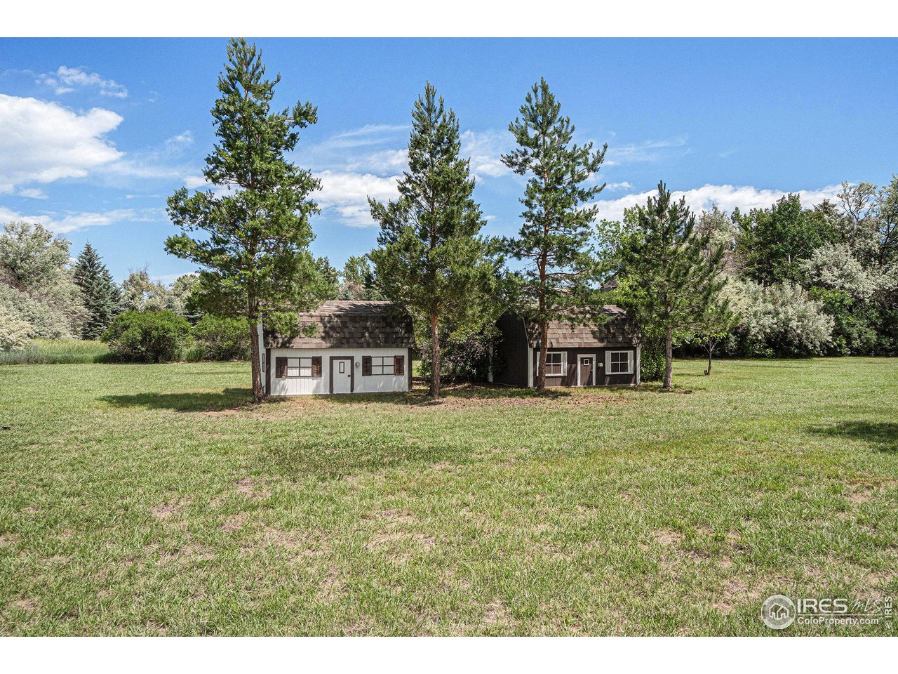 1625 Green Ridge Road Berthoud, CO 80513 - Photo 29 of 35 Shed and Chicken Coop