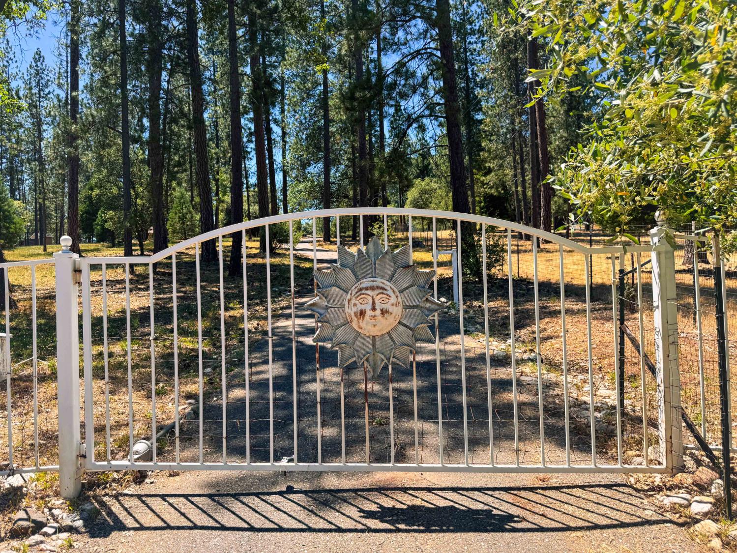 6425 Quartz Mine Road Mountain Ranch, CA 95246 - Photo 69 of 70