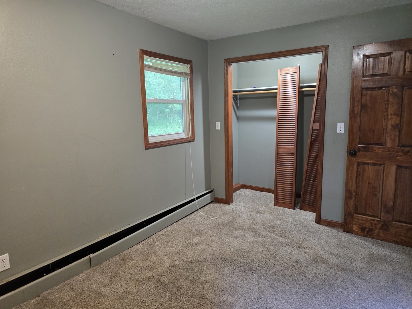 835 Jimtown Loop Anna, IL 62906 - Photo 14 of 30