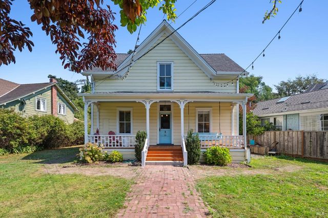 a view of a plant in a garden