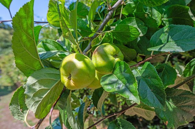 a view of a patio with a table chairs and a backyard