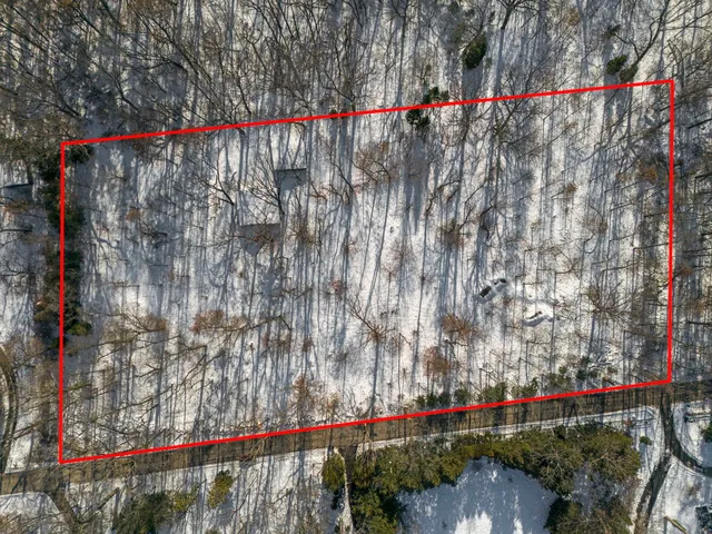 a view of street along with trees