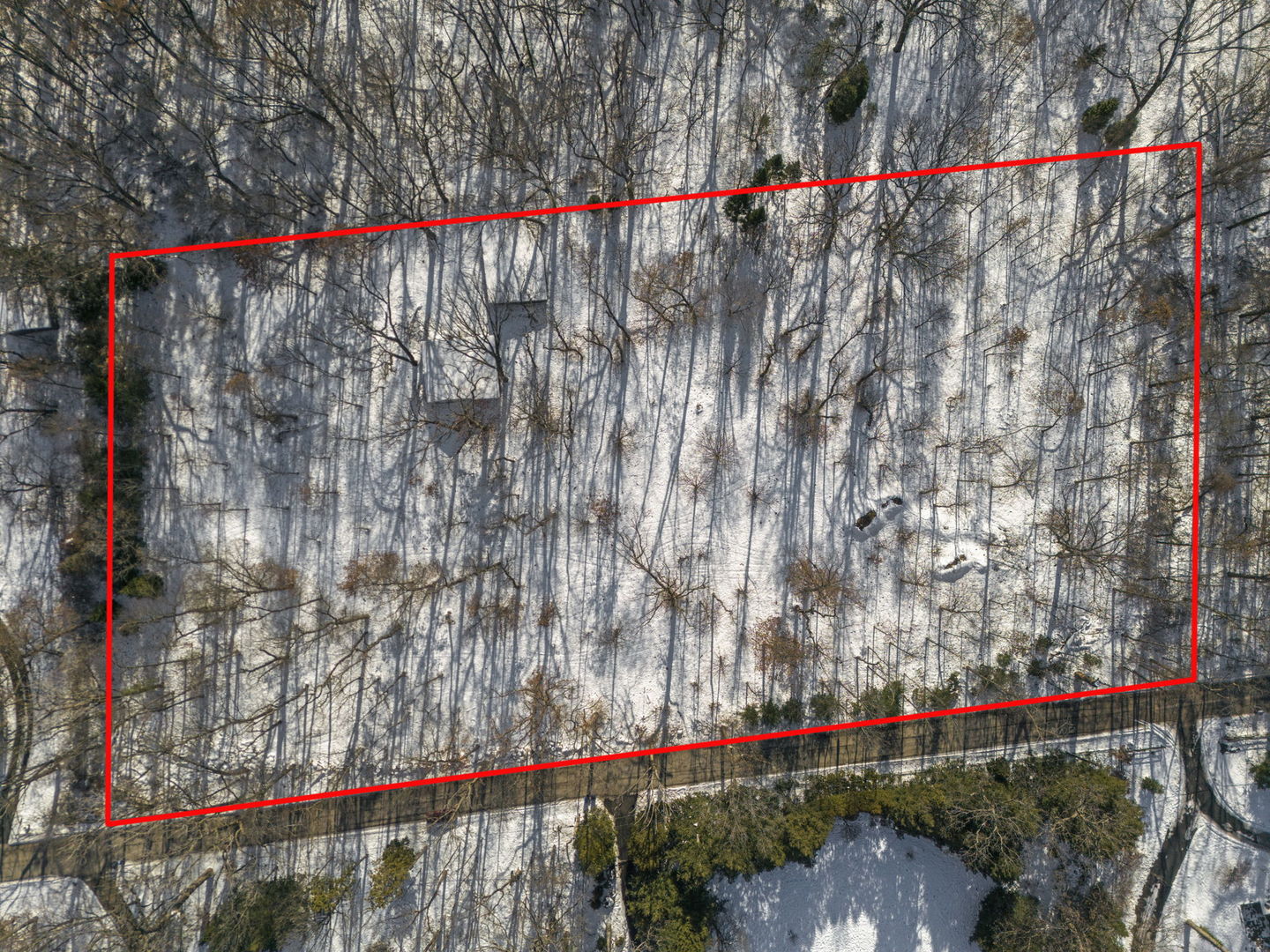a view of street along with trees