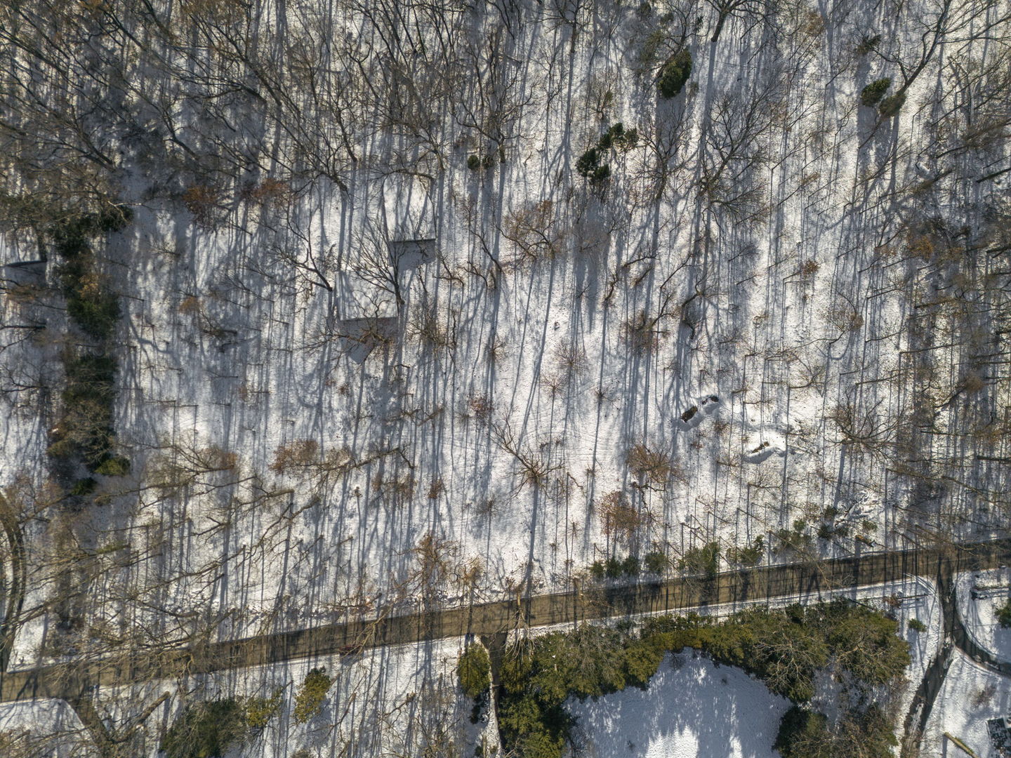 40W789 Whitney Road St. Charles, IL 60175 - Photo 6 of 14