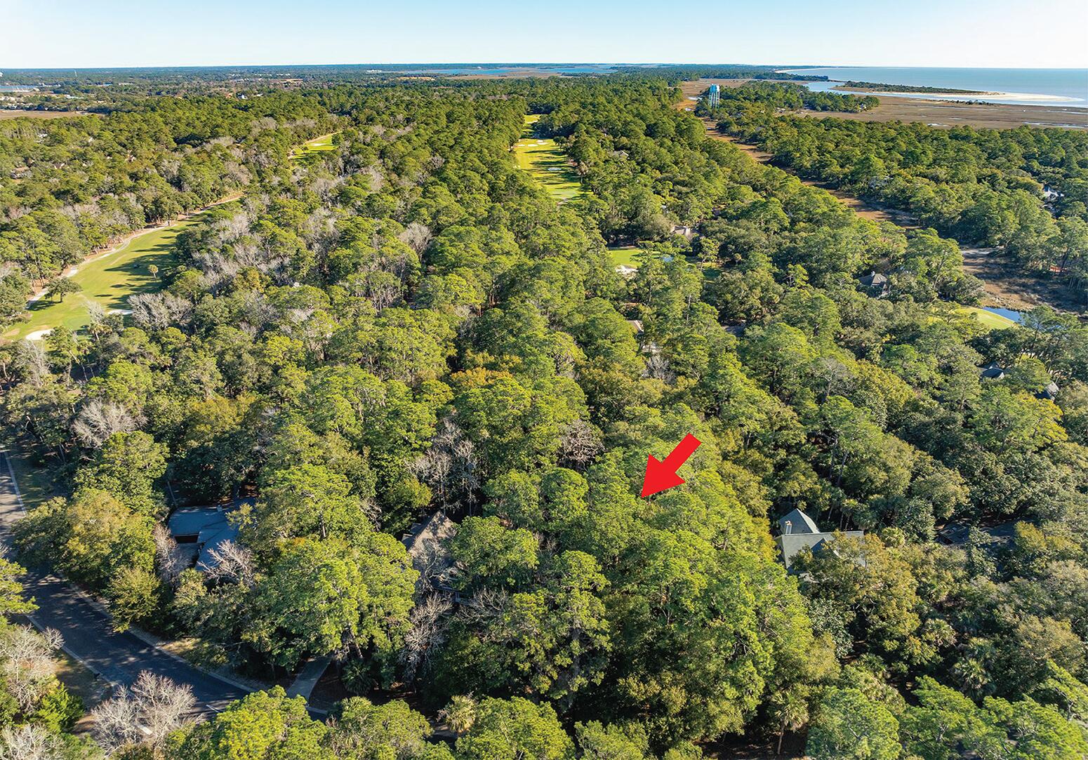 2617 Seabrook Island Road Seabrook Island, SC 29455 - Photo 16 of 36 Jace-Seabrooke-02