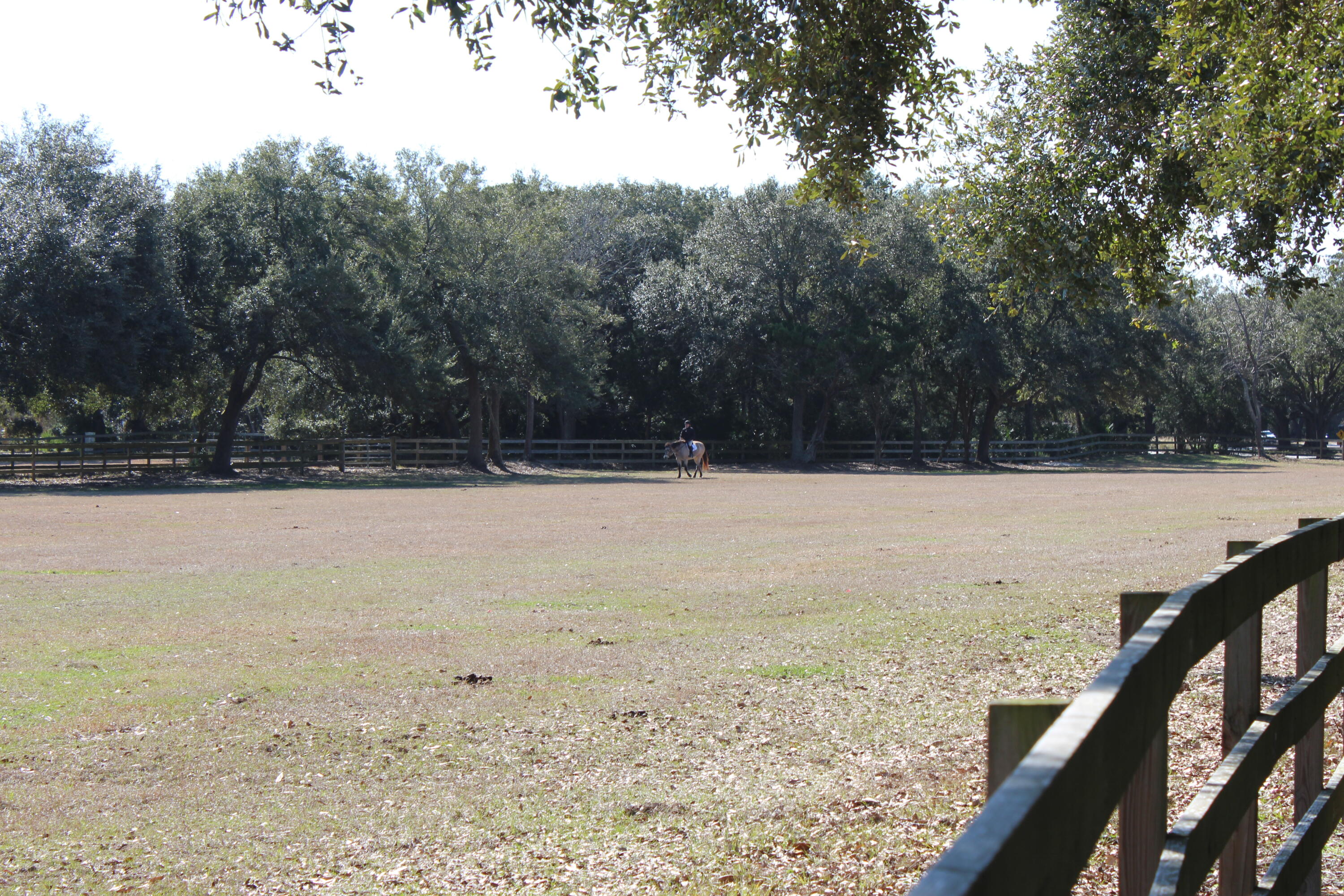 2617 Seabrook Island Road Seabrook Island, SC 29455 - Photo 27 of 36 Equestrian Center