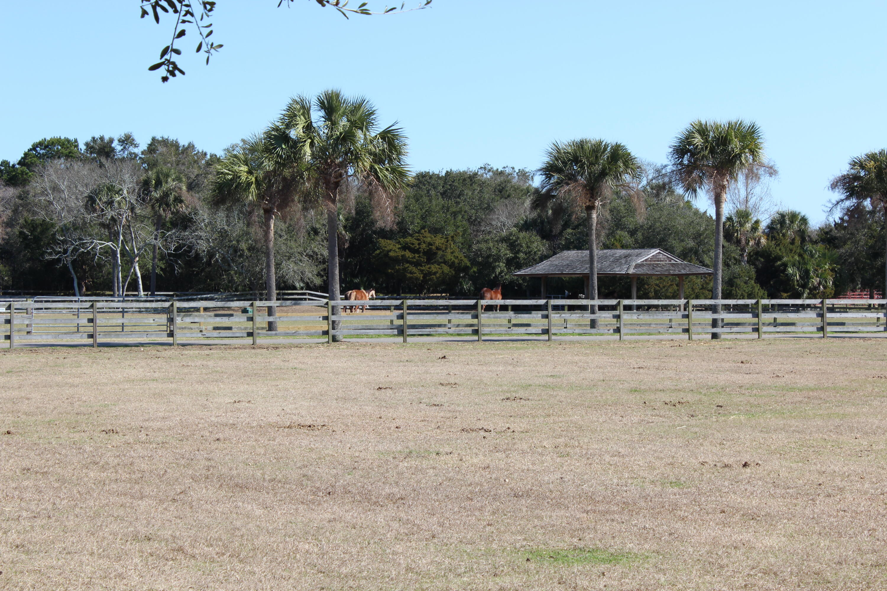 2617 Seabrook Island Road Seabrook Island, SC 29455 - Photo 28 of 36 Equestrian Center
