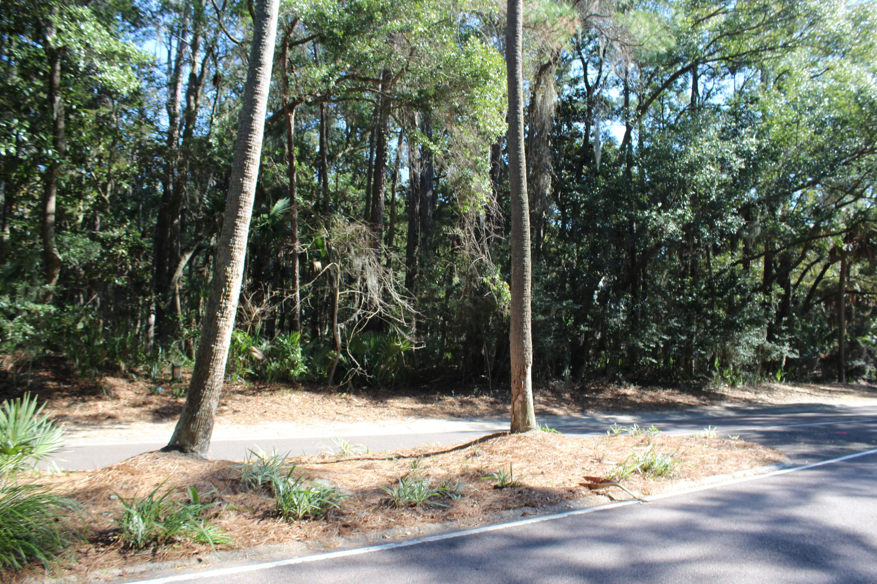 2617 Seabrook Island Road Seabrook Island, SC 29455 - Photo 6 of 36 View from the Street