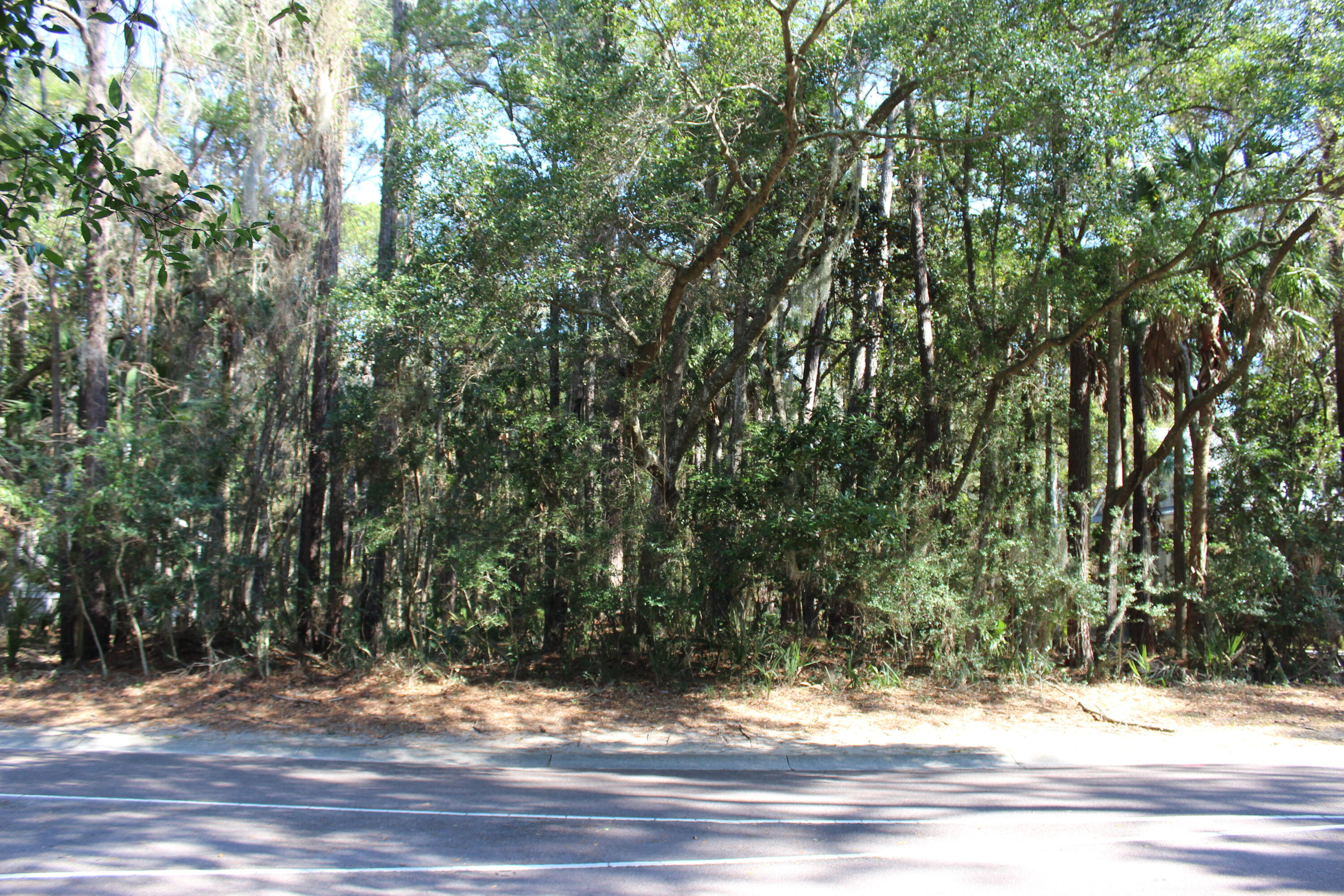 2617 Seabrook Island Road Seabrook Island, SC 29455 - Photo 7 of 36 The lot