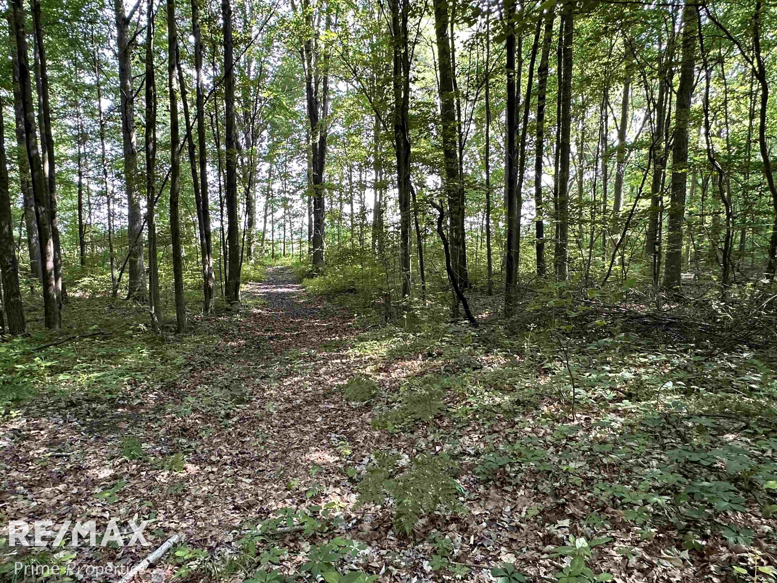 11515 Gera Road Birch Run, MI 48415 - Photo 83 of 96 50112851-84.JPG