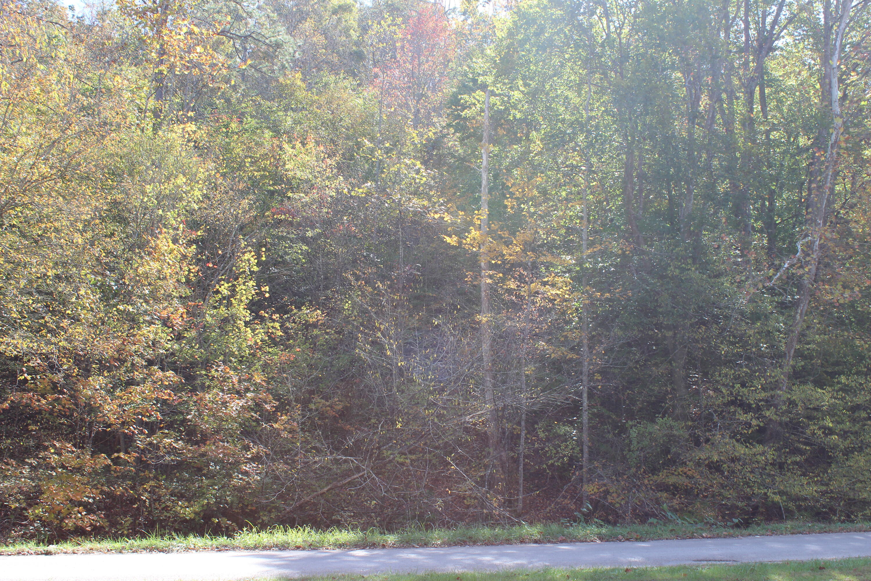 683 Adams Branch Road Frenchburg, KY 40322 - Photo 13 of 26 3
