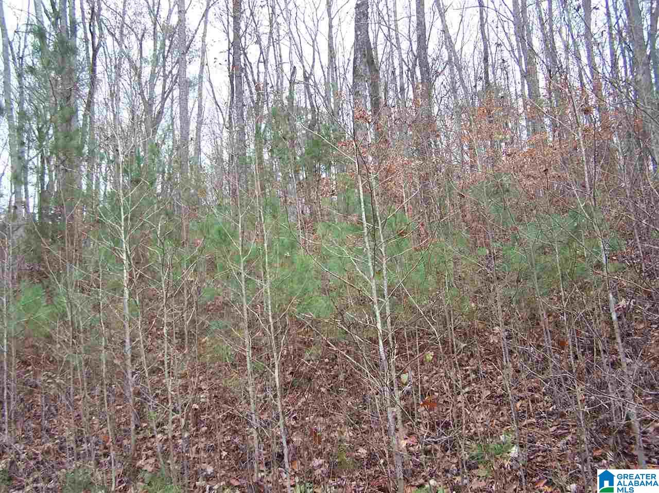 2783 Springville Boulevard Oneonta, AL 35121 - Photo 15 of 21