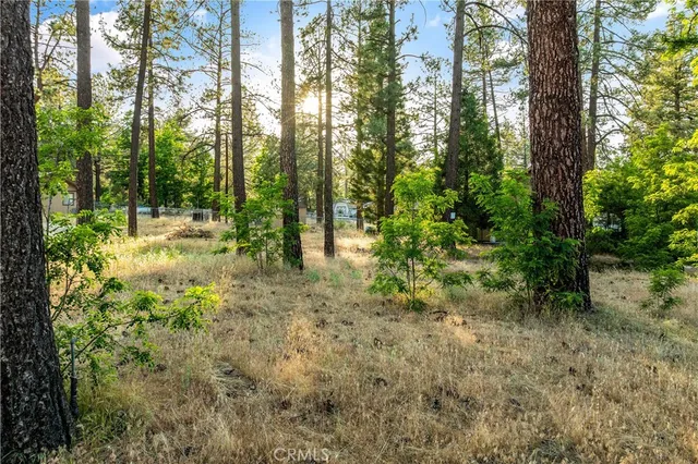 $599,990 | 59485 Highway 74, Mountain Center, CA 92561