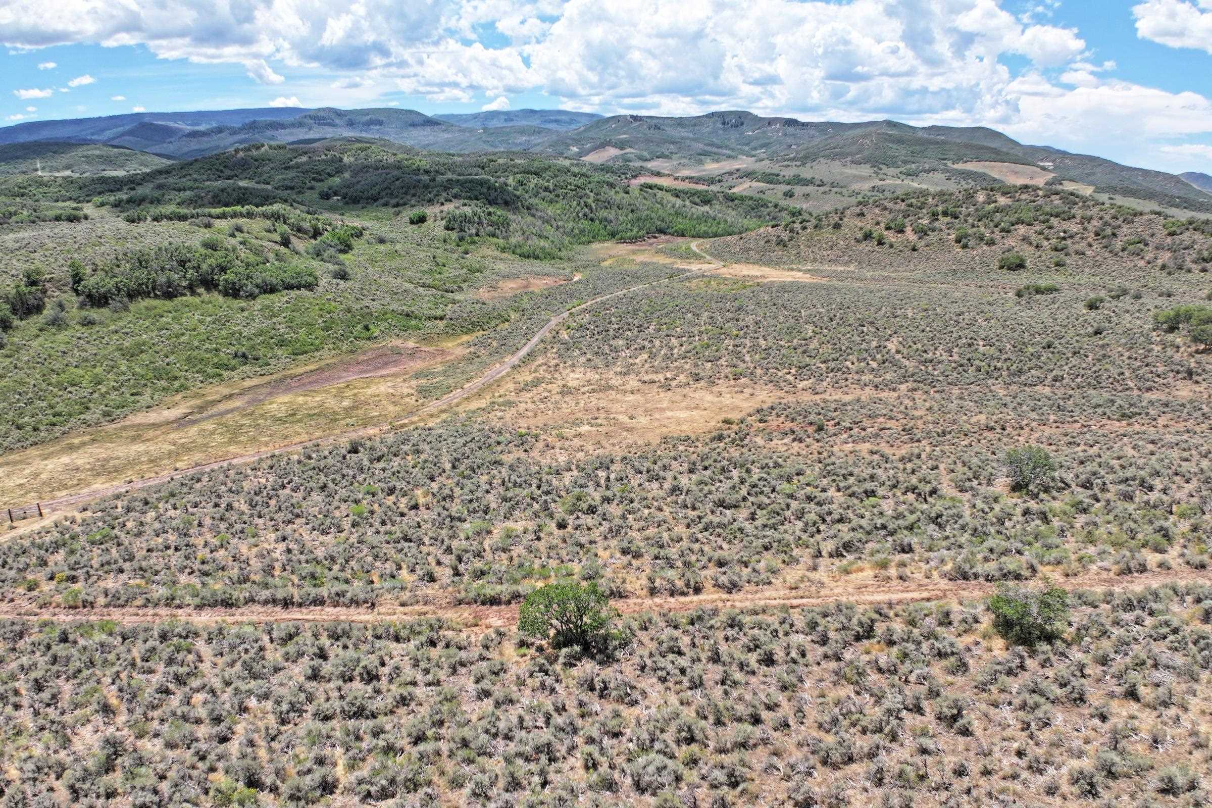 Tbd Harrison Creek Road Collbran, CO 81624 - Photo 14 of 40 Gallery Image 14