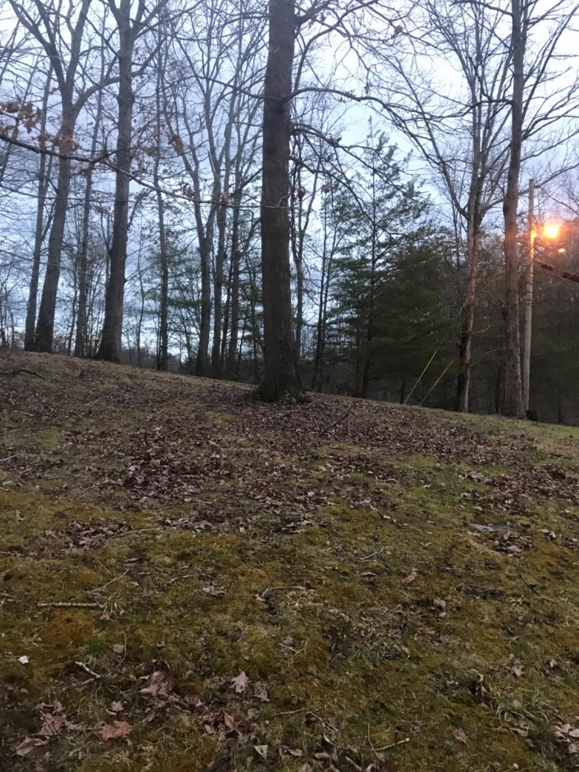 140 Day Road Booneville, KY 41314 - Photo 2 of 18 Photo 2